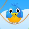 TNT Birds