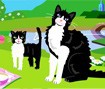 Jogo Gatinhos da Barbie
