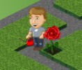 Jardim Of Life